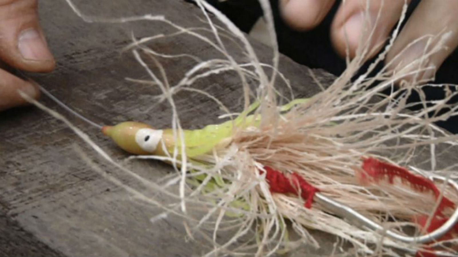 ¿Maíz para pescar?