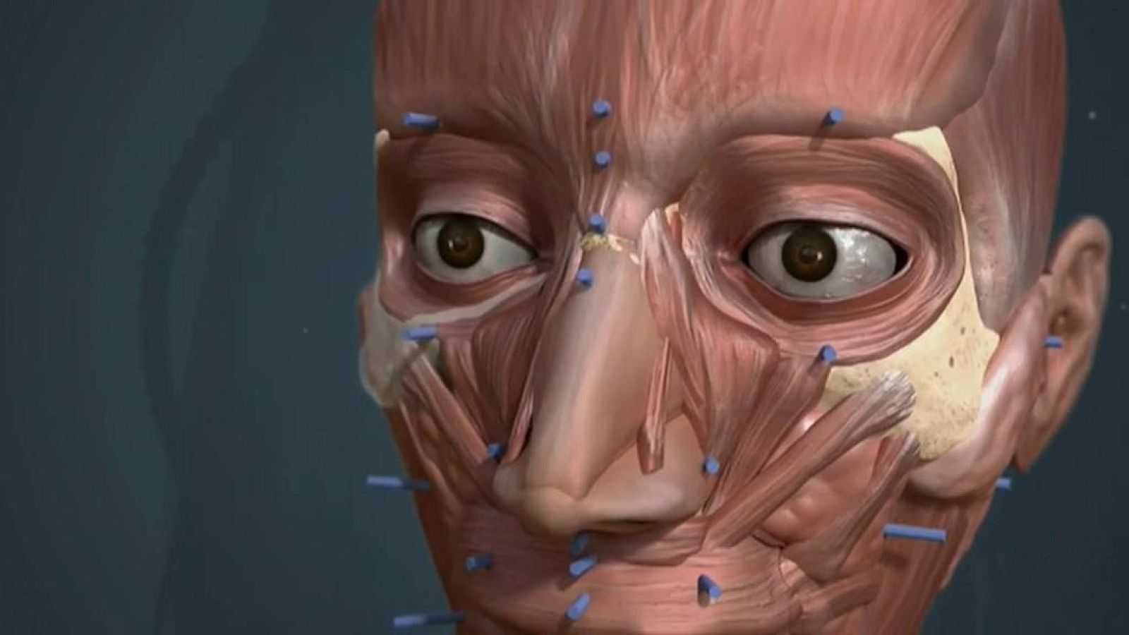 La 2 Noticias - 04/12/18 - ver ahora