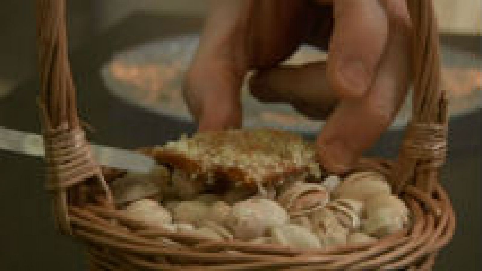 Cocinamos con pistachos en Chirón, Valdemoro