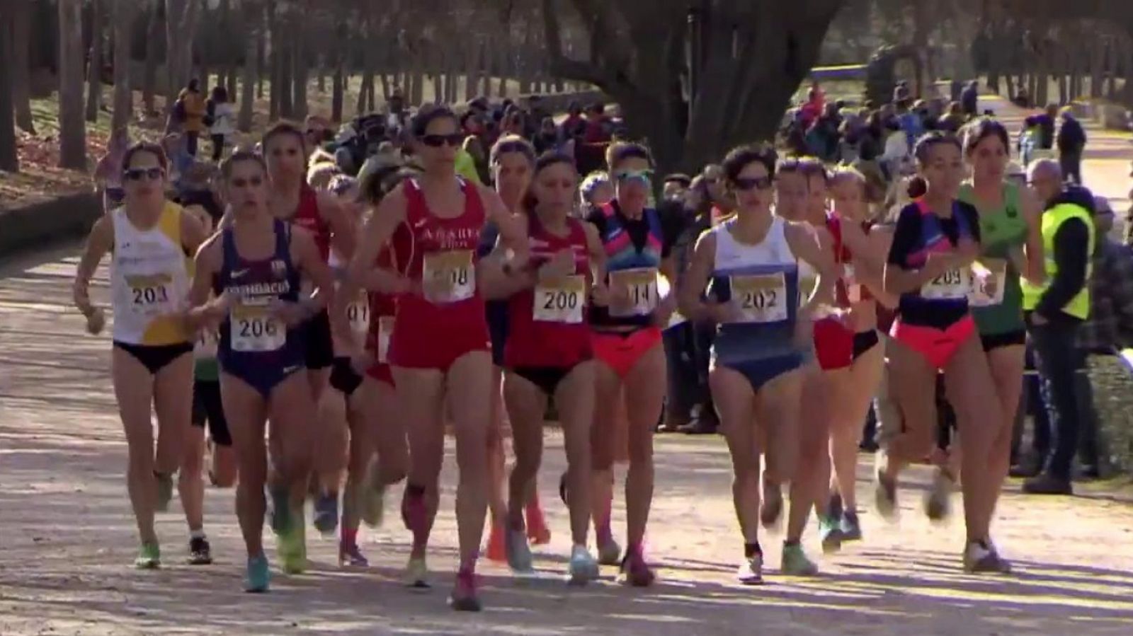 Cross - Internacional de la Constitución Aranda de Duero 2018. Resumen