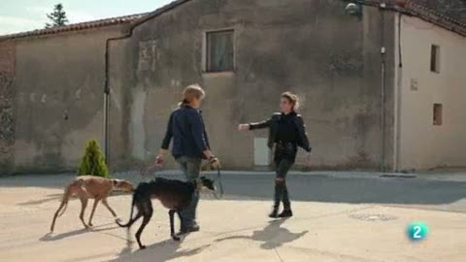 La meva mascota i jo - Visitem l'associació "Galgas del Mar"