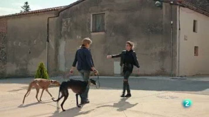 La meva mascota i jo - Visitem l'associació "Galgas del Mar"