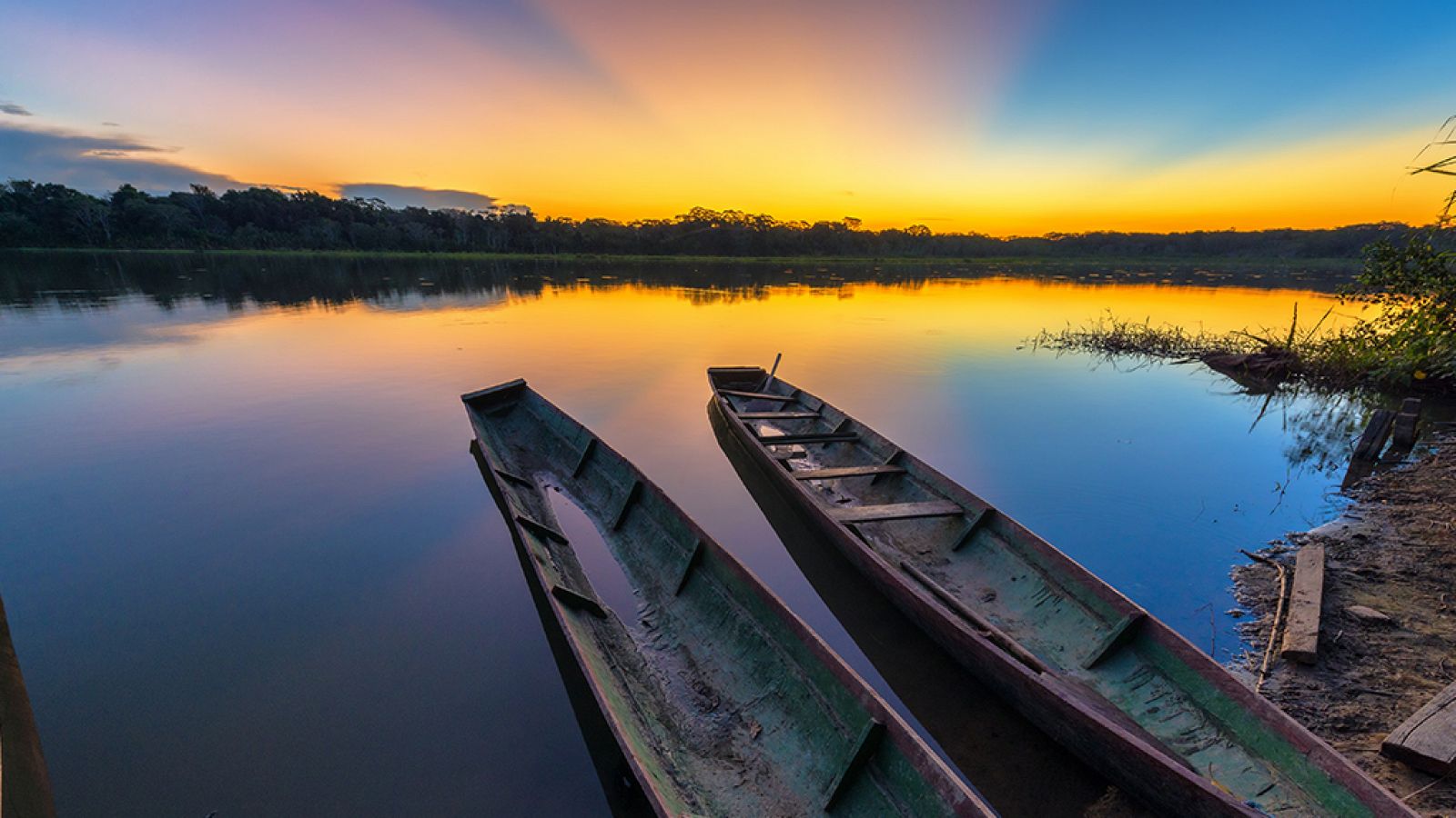 Grandes documentales - Las islas más salvajes. Las islas del Amazonas. La selva flotante