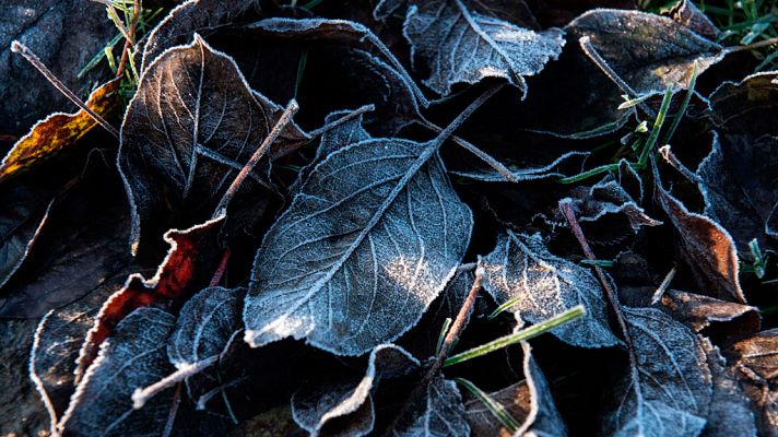 El tiempo - Tiempo estable y temperaturas en ascenso