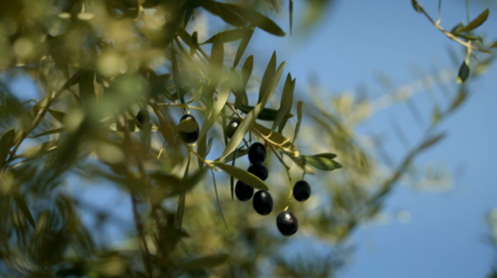 Las rutas de Verónica - Murcia noroeste