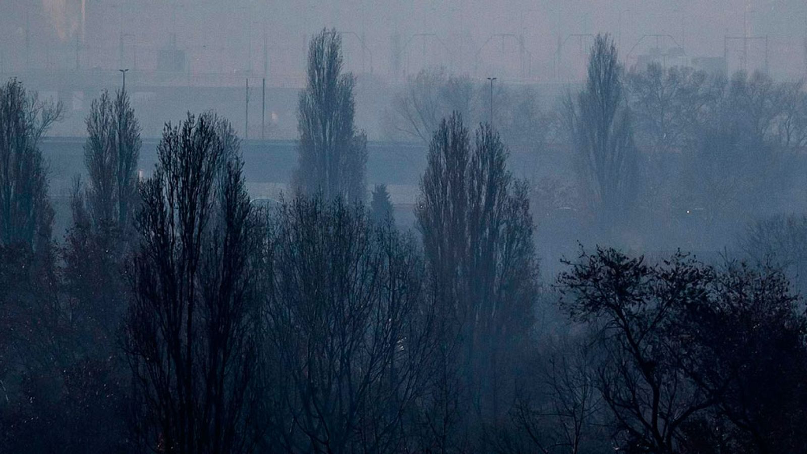 Predominarán los cielos poco nubosos o despejados