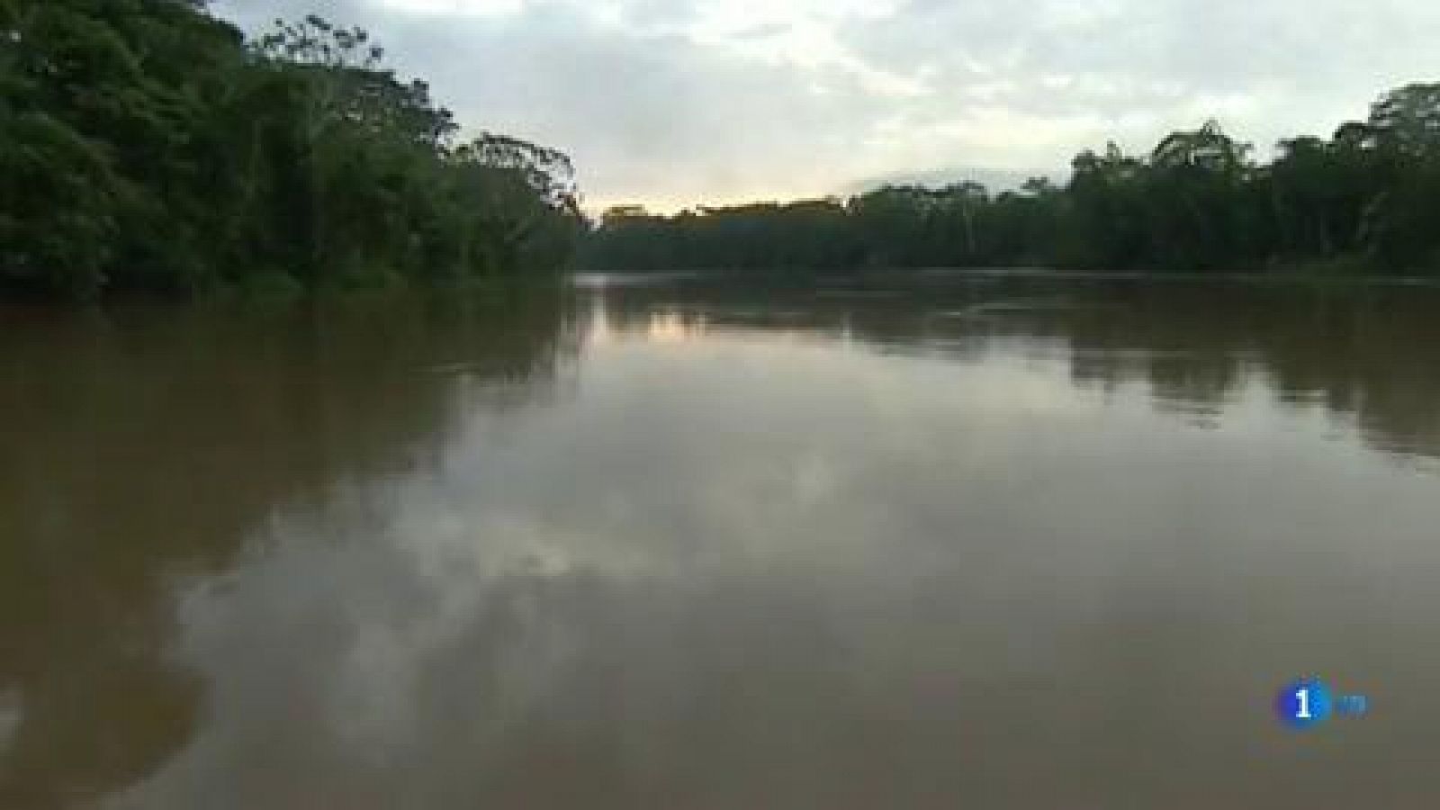 Informe Semanal: El grito de la Amazonia | RTVE Play