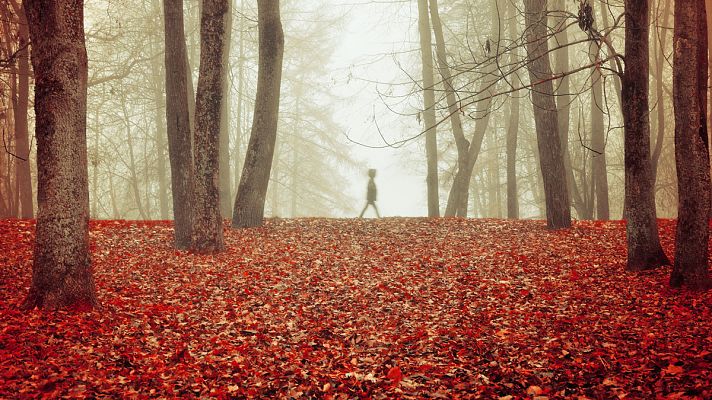 El tiempo - El puente de la Constitución se despide con pocas nubes y temperaturas suaves