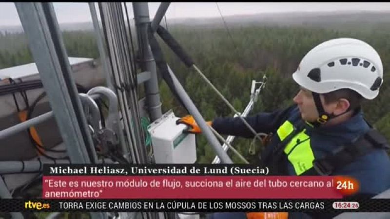 Reforestar para enfriar la atmsfera