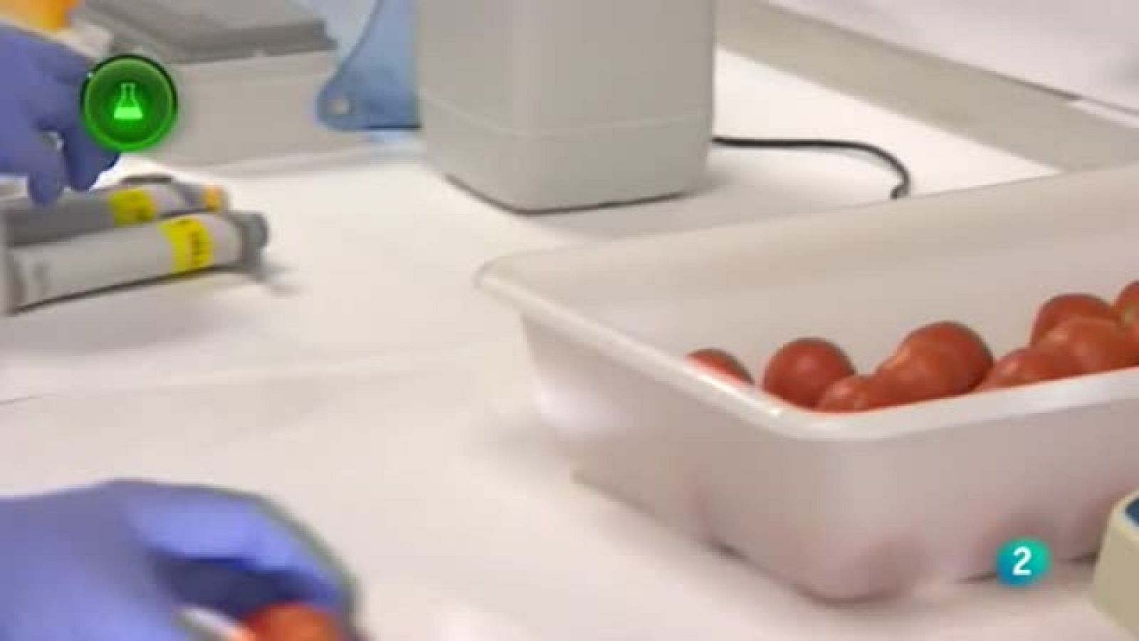 Laboratorio de ideas, Tomate de penjar