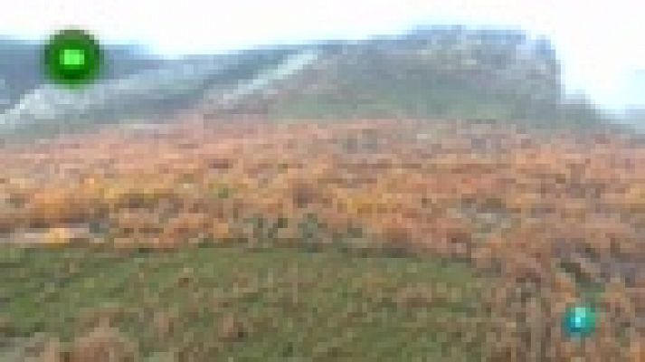 Agrosfera - Valverde de los Arroyos