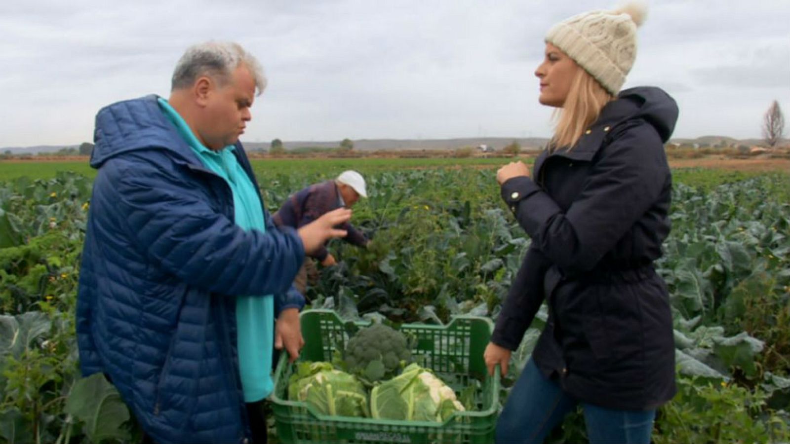 Crucíferas, reinas del frío