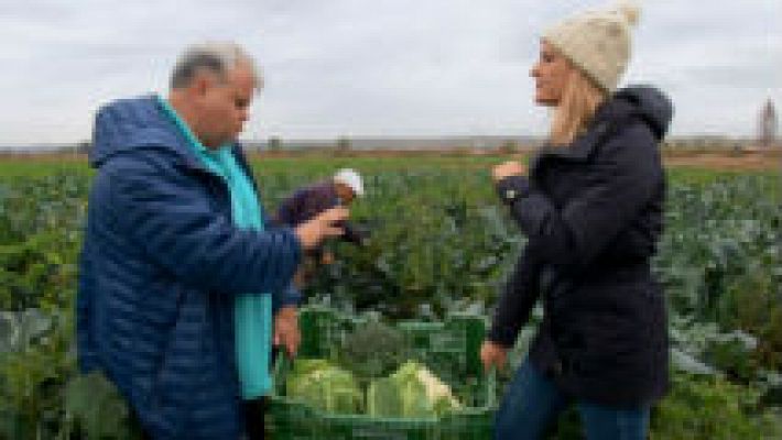 Aquí la Tierra - Crucíferas, reinas del frío