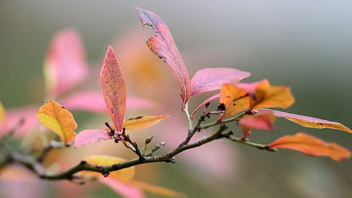 Informativo de Madrid - El Tiempo en la Comunidad de Madrid - 10/12/18