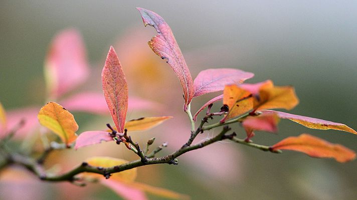 Informativo de Madrid - El Tiempo en la Comunidad de Madrid - 10/12/18