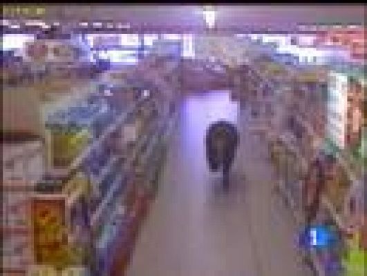 Un buey se cuela en un supermercado