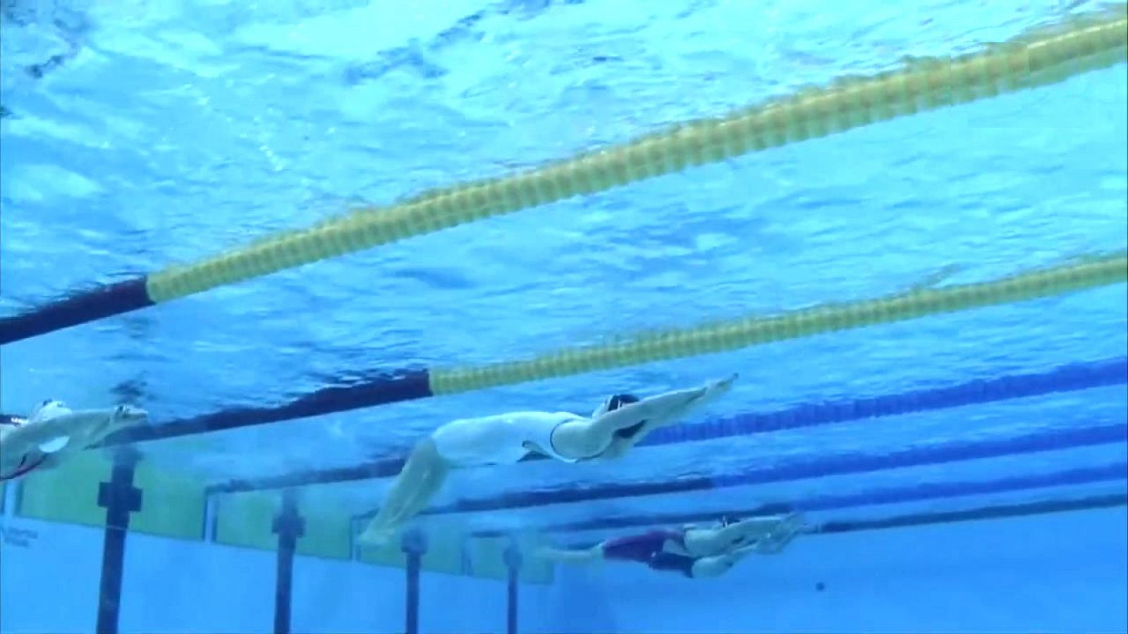 Natación: Cto. Mundo Piscina corta Semifinales y Finales - 1ª jornada | RTVE Play