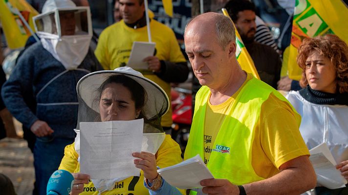 Telediario 1 - Los apicultores españoles se movilizan para defender el futuro de la miel nacional