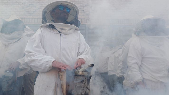 L'informatiu - Comunitat Valenciana - L'Informatiu - Comunitat Valenciana 2 - 11/12/18