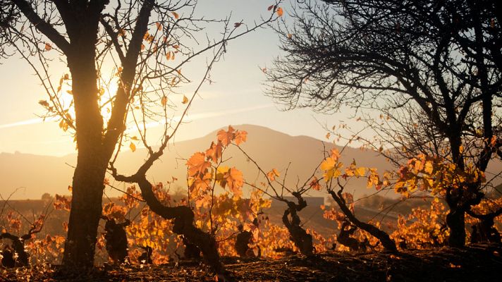 El tiempo - Tiempo estable en la mayor parte de la península