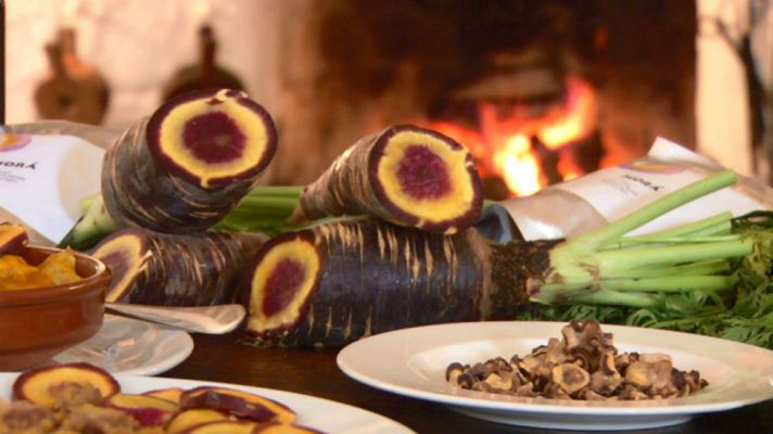 Aquí la Tierra - La zanahoria "morá"