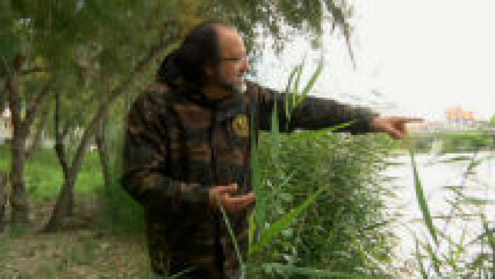 La fauna del río Ebro en Zaragoza