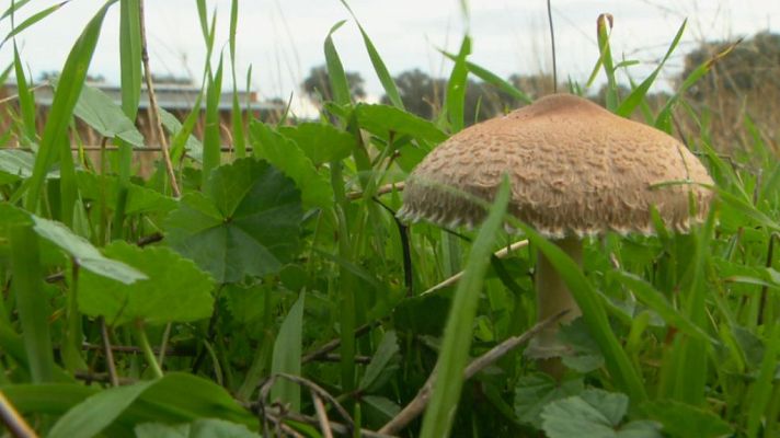 Aquí la Tierra - Aquí la Tierra - 12/12/18