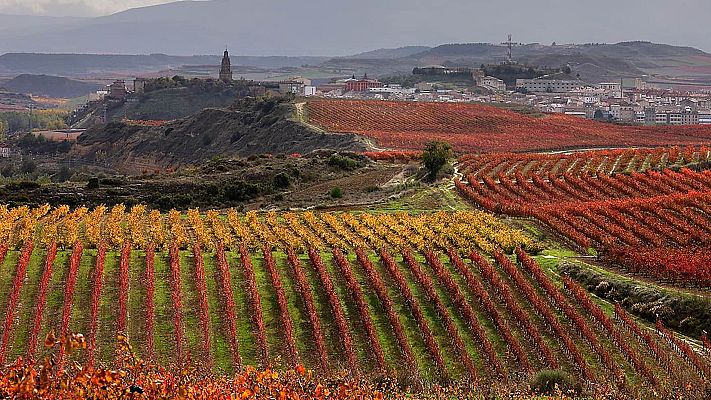 Informativo Telerioja - Los turistas se llevan un décimo de recuerdo