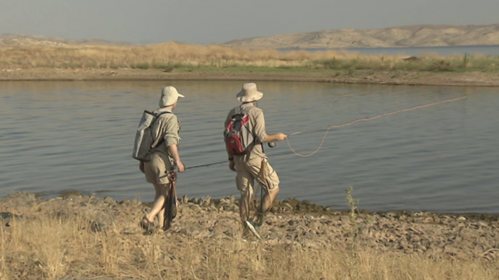 Jara y sedal - Pesca a mosca en La Serena