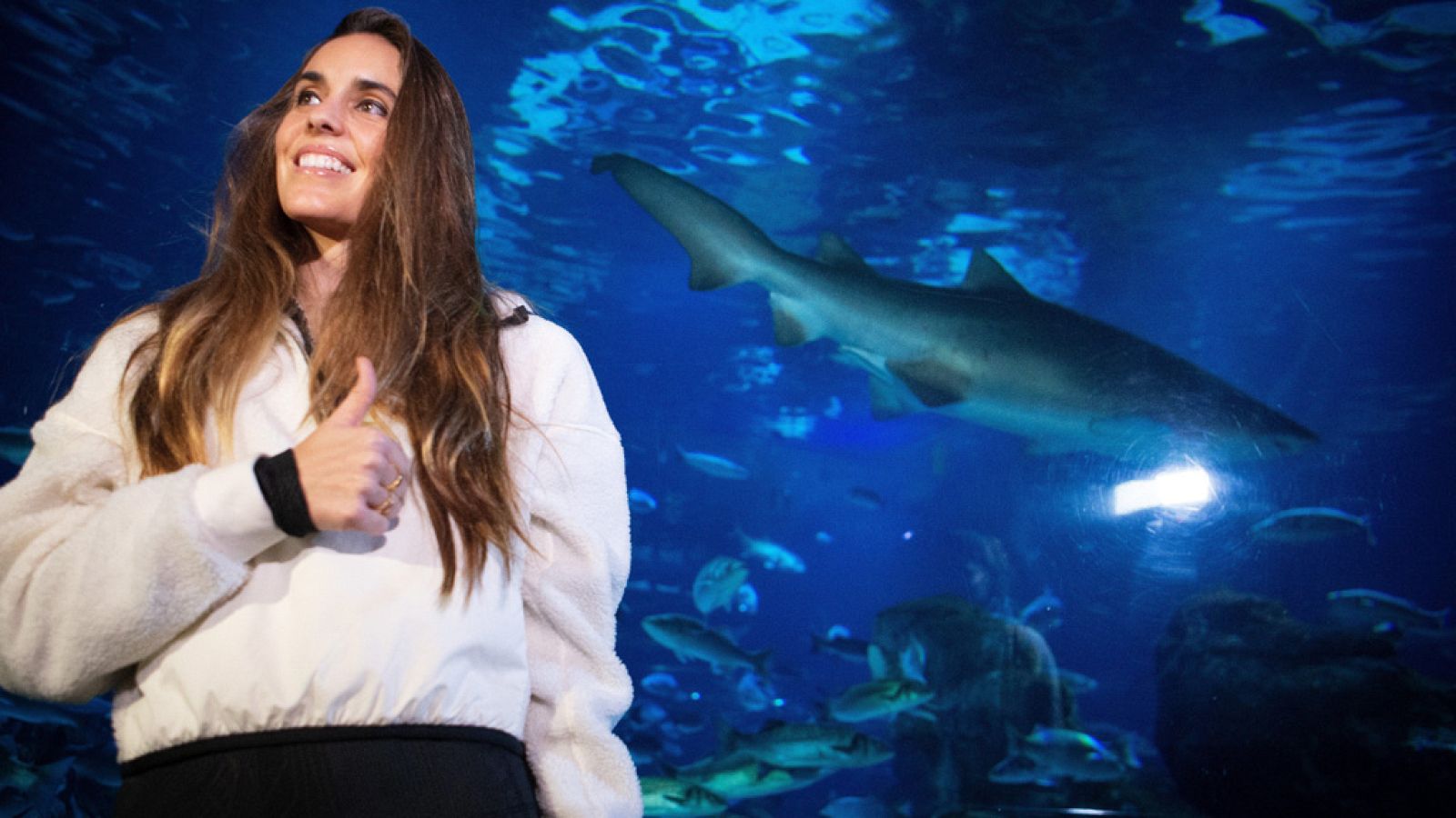 Ona Carbonell nada entre tiburones por una buena causa | Ver