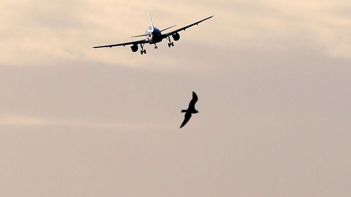 Temperaturas diurnas en ascenso en la Península 