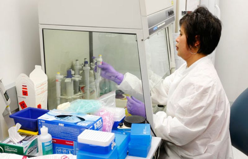 EE.UU. ha elevado el número de casos sospechosos aveinte y ha establecido la alerta sanitaria en el país. Mientras, la OMS advierte del peligro de propagación mundial del brote de gripe porcina.  