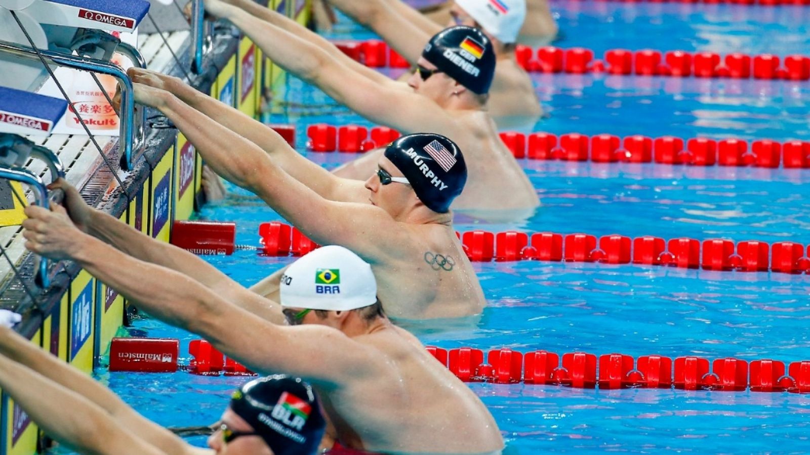 Natación: Cto. Mundo Piscina corta Semifinales y Finales - 6ª jornada | RTVE Play