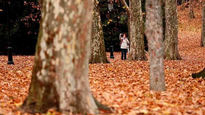 Adiós a un otoño cálido y húmedo