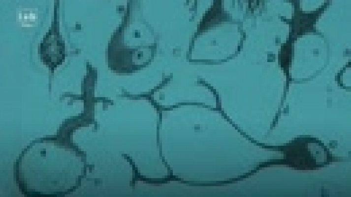 LAB RTVE - ¿De quién estamos hablando?