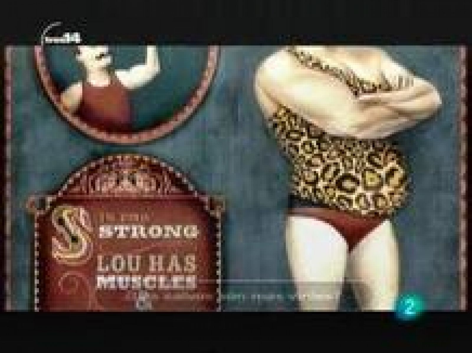 Curiosidades (Darwin)