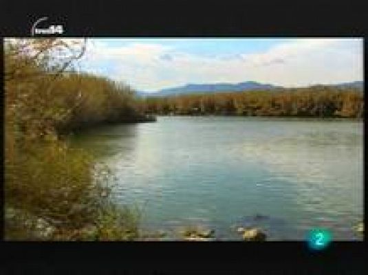 tres14 - Últimas noticias