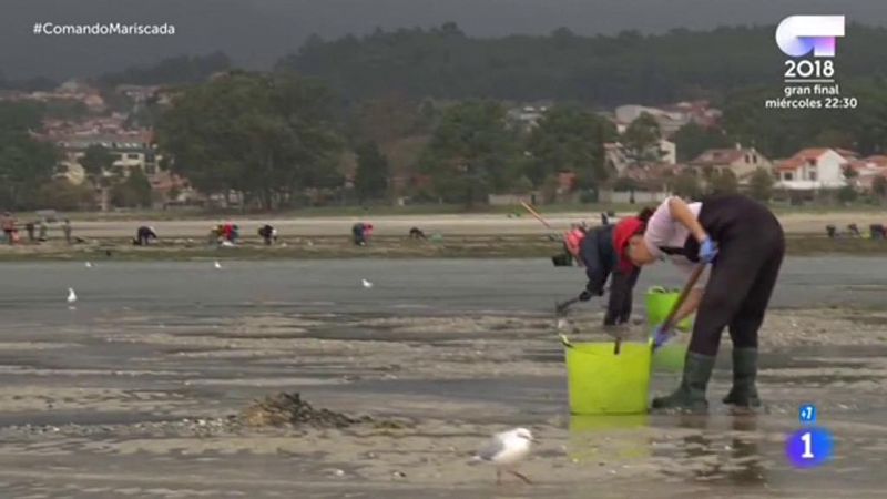 Comando Actualidad - De Mariscada - Furtivismo en Galicia