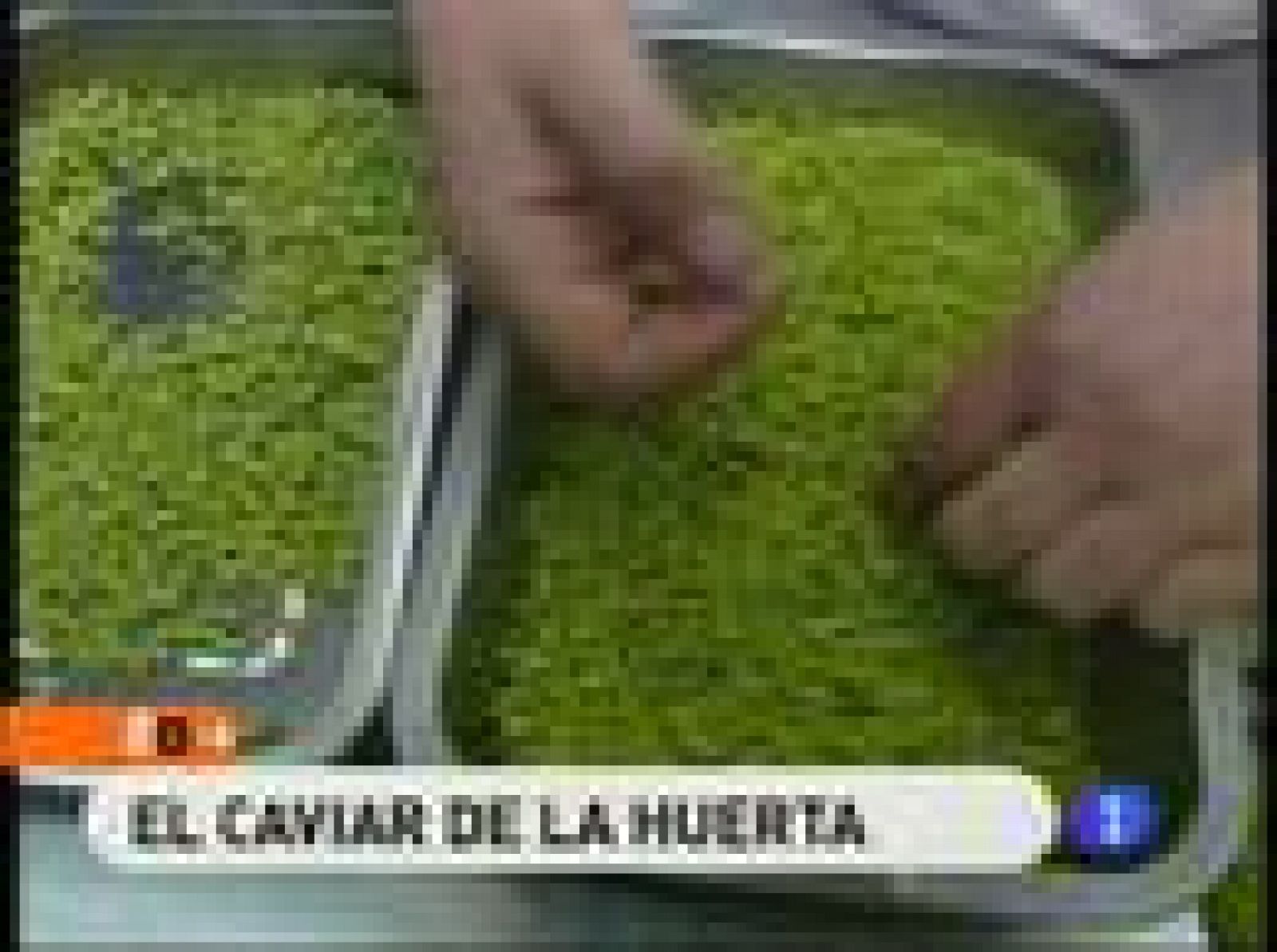 RTVE Cocina: El caviar de la huerta | RTVE Play
