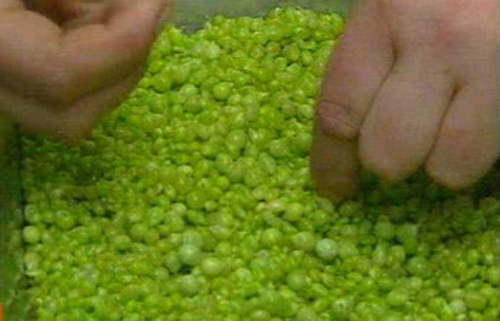 España Directo - El caviar de la huerta - RTVE Cocina | Ver