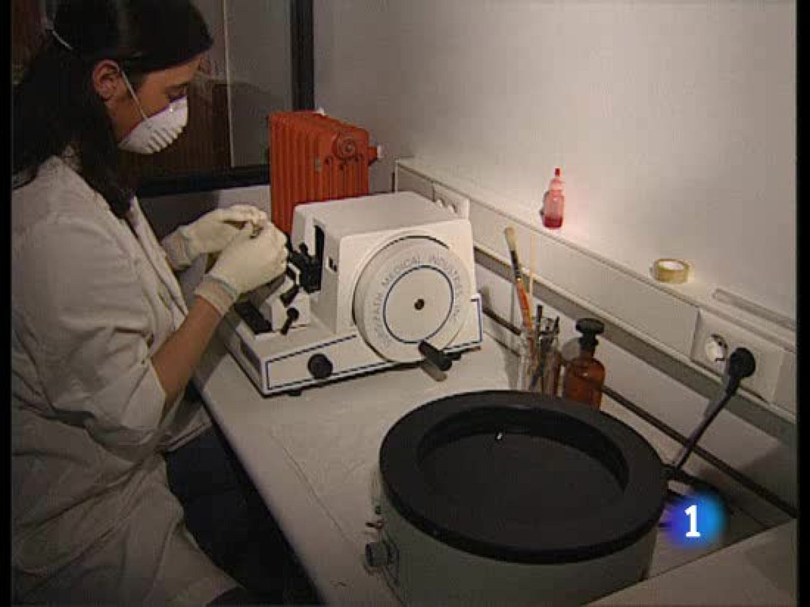 Los síntomas son los de una gripe común: fiebre, tos estornudos, dolores musculares, dolor de garganta...a los que se añaden las molestias digestivas propias de la variante porcina, como diarrea y vómitos.  