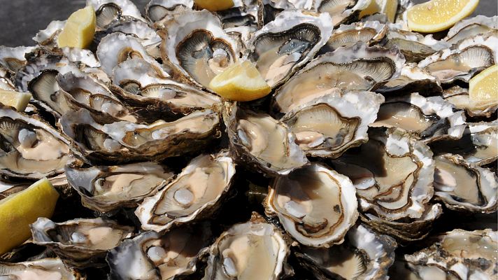 Telediario 1 - Más de 1.500 toneladas de marisco fresco se venderán durante el mes de diciembre en Cataluña