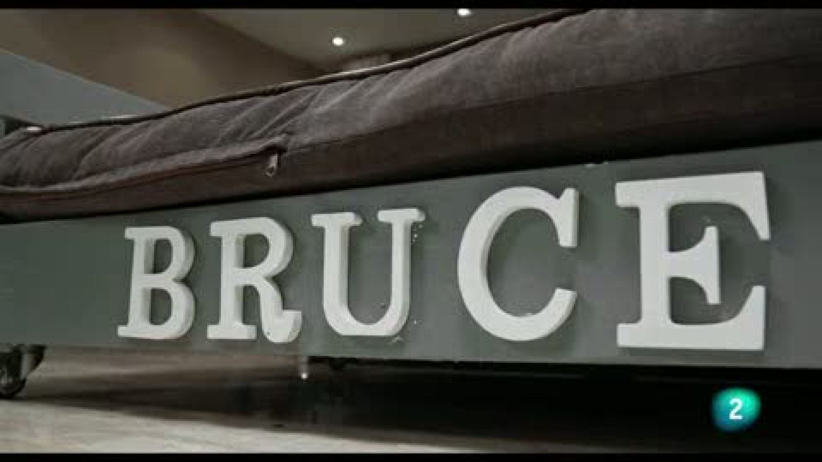 La segona oportunitat del Bruce - La meva mascota i jo