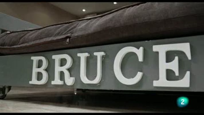 La meva mascota i jo - La segona oportunitat del Bruce - La meva mascota i jo