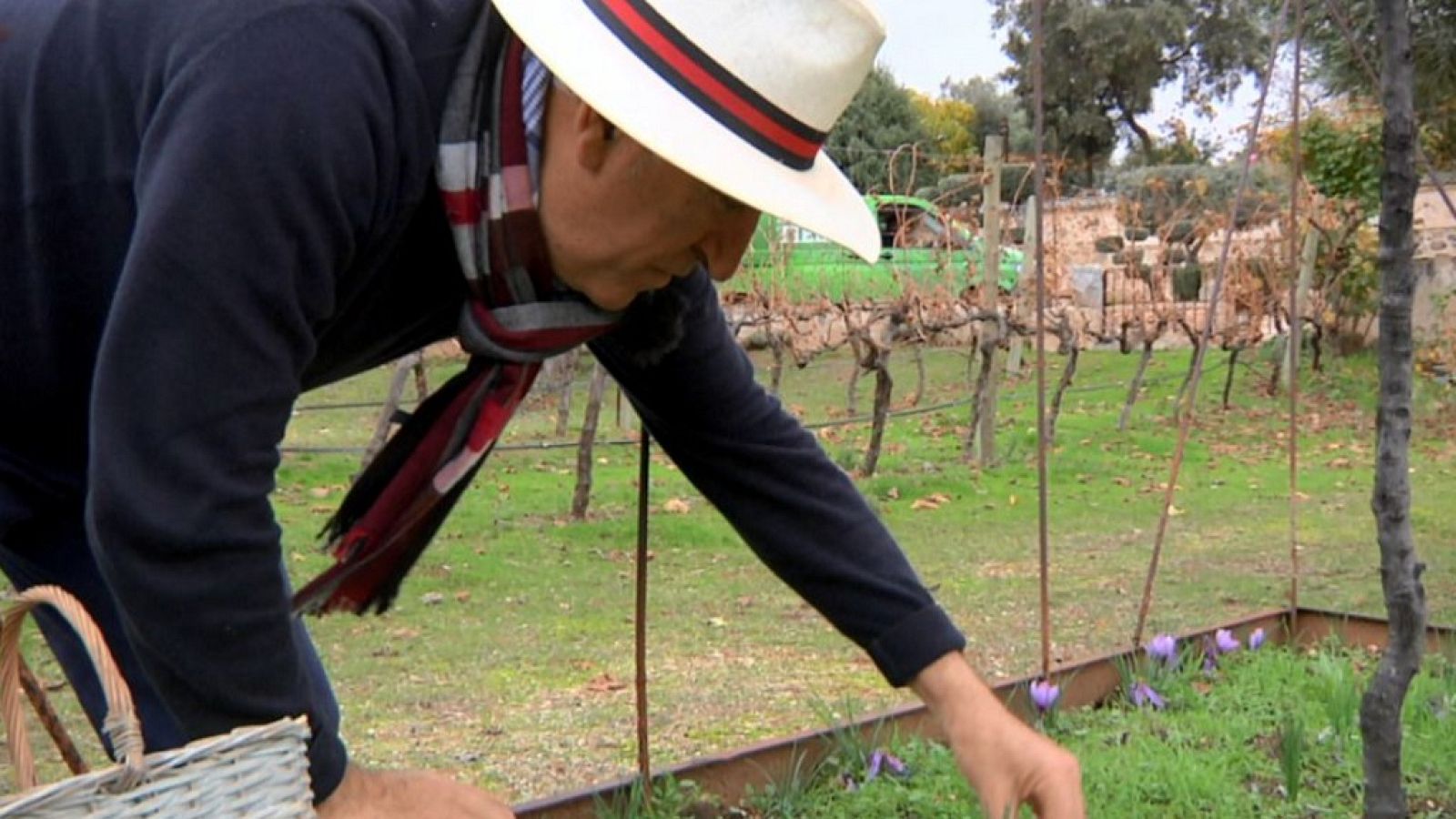 Aquí la Tierra - 20/12/18 - ver ahora