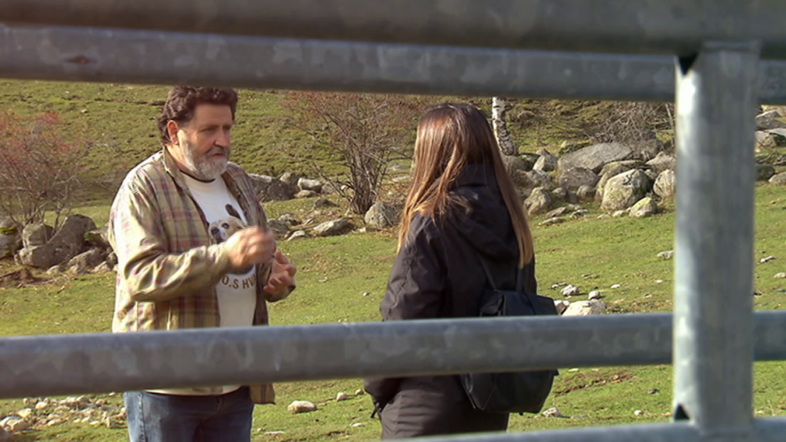 El escarabajo verde - David contra Goiat