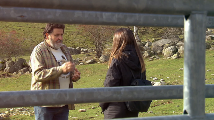 El escarabajo verde - David contra Goiat