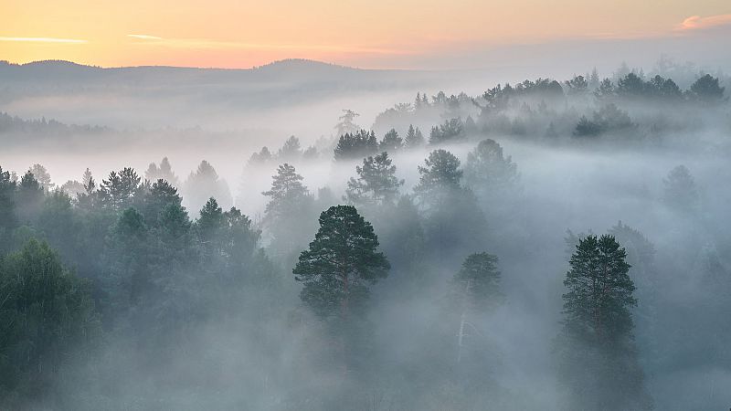 Temperaturas en aumento con niebla en las mesetas