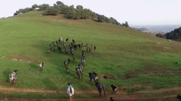 Tendido cero - Tendido cero - 22/12/18