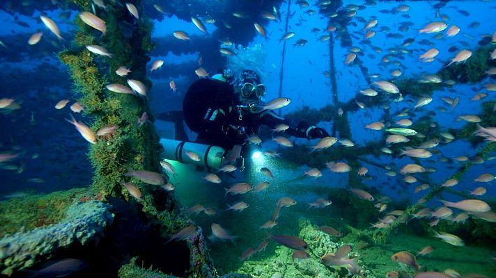 Hundidos - Mardinian